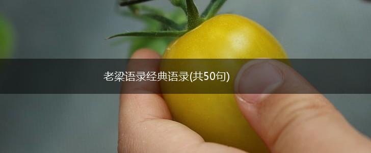 老梁语录经典语录(共50句),第1张