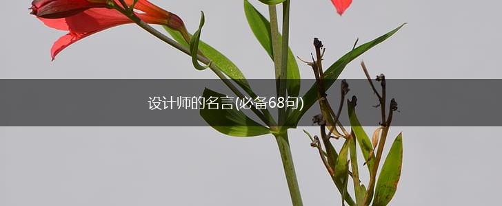 设计师的名言(必备68句),第1张 设计师的名言(必备68句),第1张