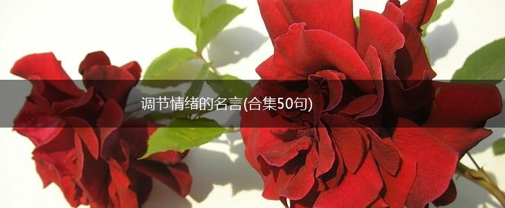 调节情绪的名言(合集50句),第1张 调节情绪的名言(合集50句),第1张