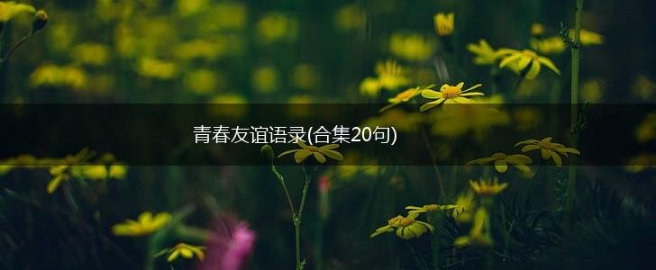 青春友谊语录(合集20句),第1张