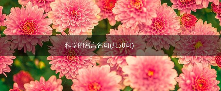 科学的名言名句(共50句),第1张