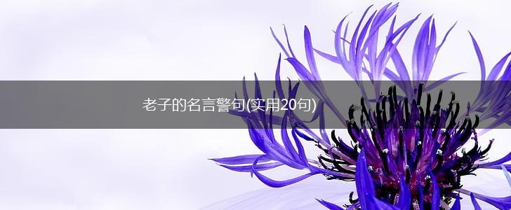 老子的名言警句(实用20句),第1张