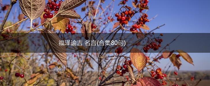 福泽谕吉 名言(合集80句),第1张