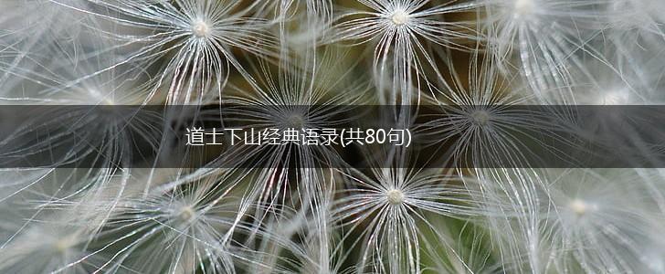道士下山经典语录(共80句),第1张