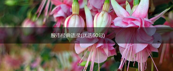 股市经典语录(优选60句),第1张