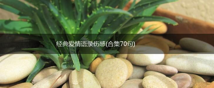 经典爱情语录伤感(合集70句),第1张