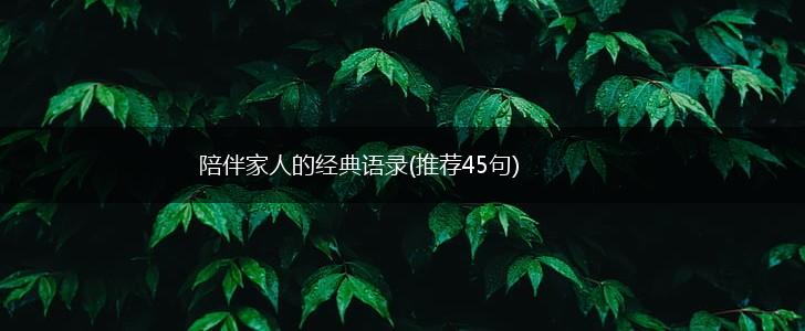 陪伴家人的经典语录(推荐45句),第1张