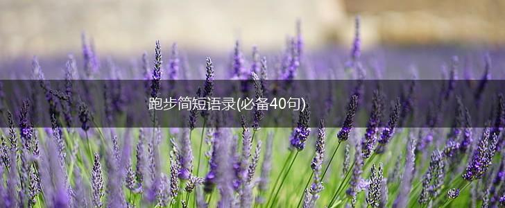 跑步简短语录(必备40句),第1张