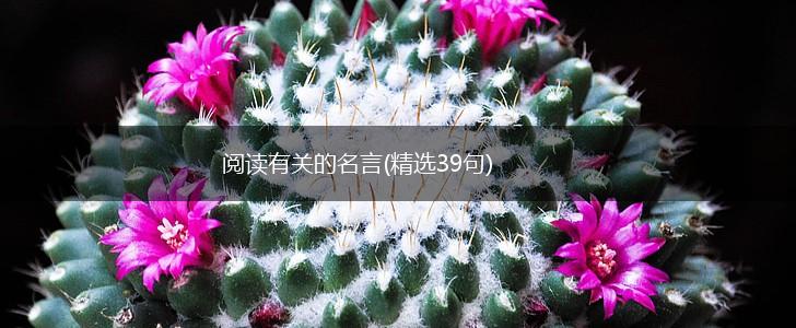 阅读有关的名言(精选39句),第1张