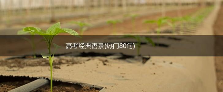 高考经典语录(热门80句),第1张
