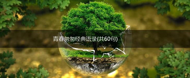 青春匆匆经典语录(共60句),第1张