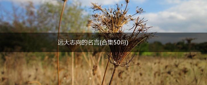 远大志向的名言(合集50句),第1张