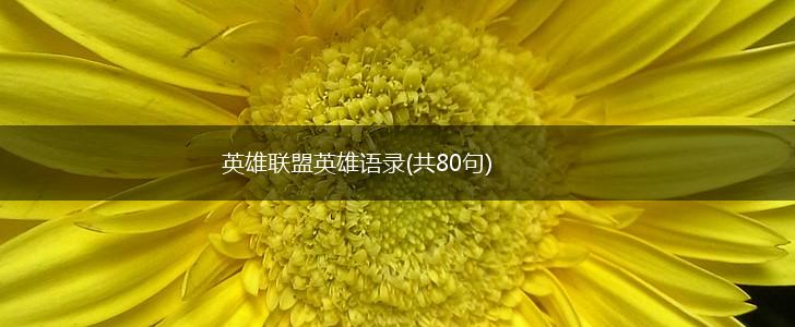 英雄联盟英雄语录(共80句),第1张