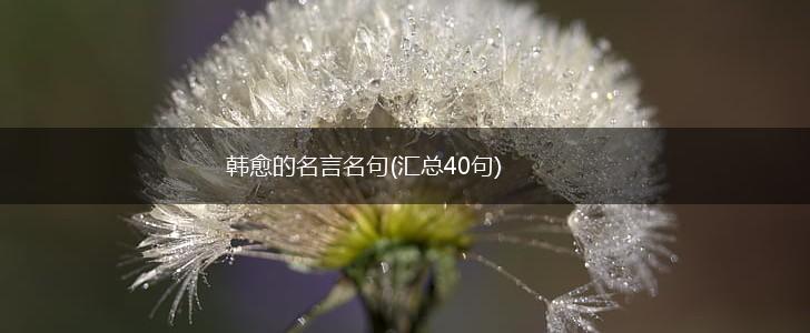 韩愈的名言名句(汇总40句),第1张