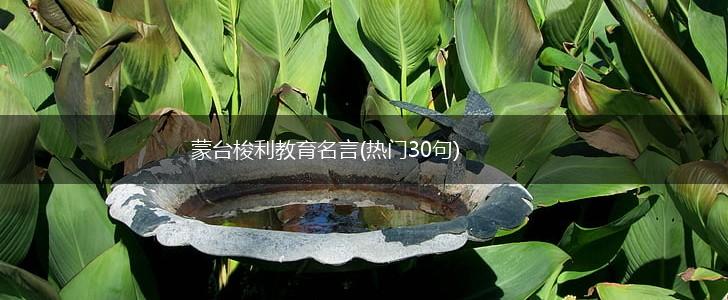 蒙台梭利教育名言(热门30句),第1张