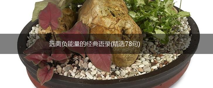 远离负能量的经典语录(精选78句),第1张