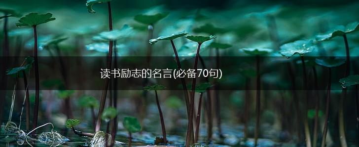 读书励志的名言(必备70句),第1张