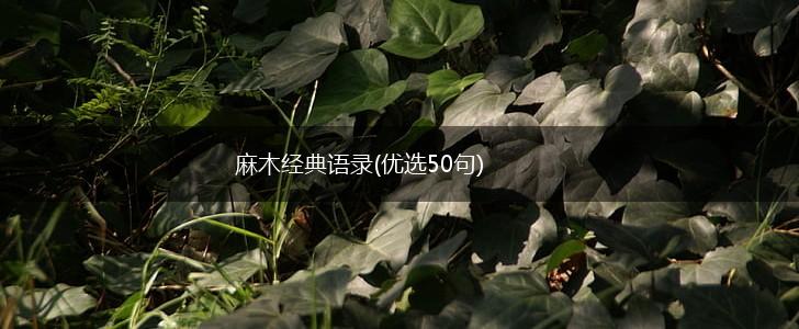 麻木经典语录(优选50句),第1张