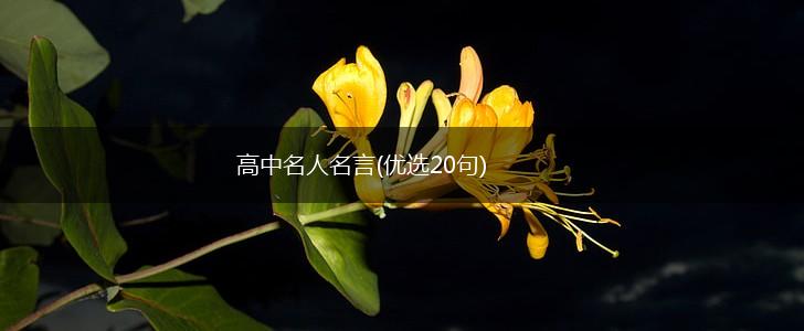 高中名人名言(优选20句),第1张
