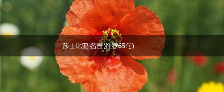 莎士比亚 名言(推荐65句),第1张 莎士比亚 名言(推荐65句),第1张