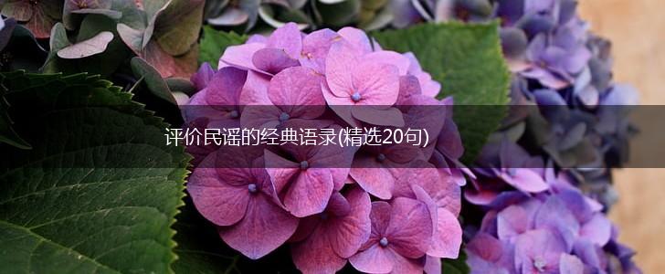 评价民谣的经典语录(精选20句),第1张