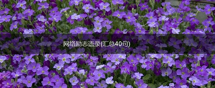 网络励志语录(汇总40句),第1张