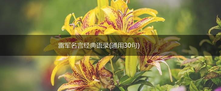 雷军名言经典语录(通用30句),第1张