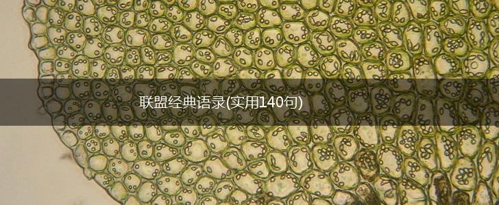 联盟经典语录(实用140句),第1张