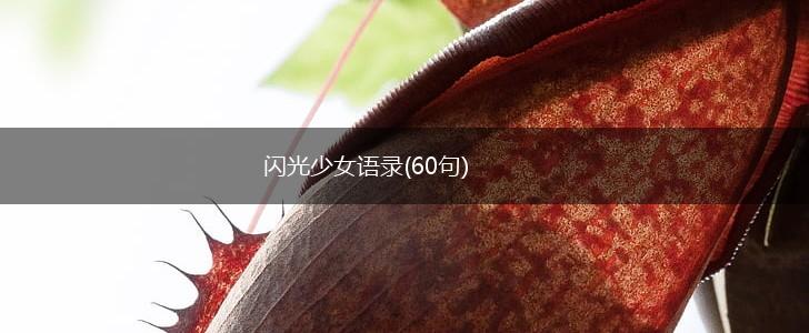 闪光少女语录(60句),第1张