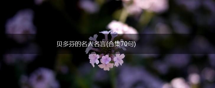 贝多芬的名人名言(合集70句),第1张 贝多芬的名人名言(合集70句),第1张