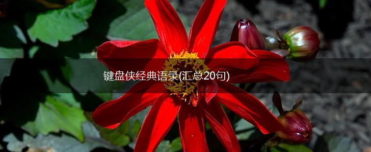 键盘侠经典语录(汇总20句),第1张