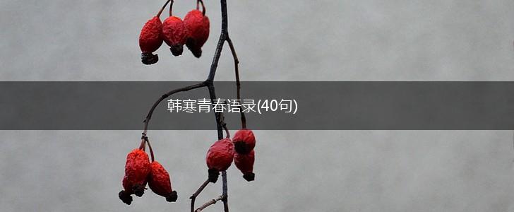 韩寒青春语录(40句),第1张