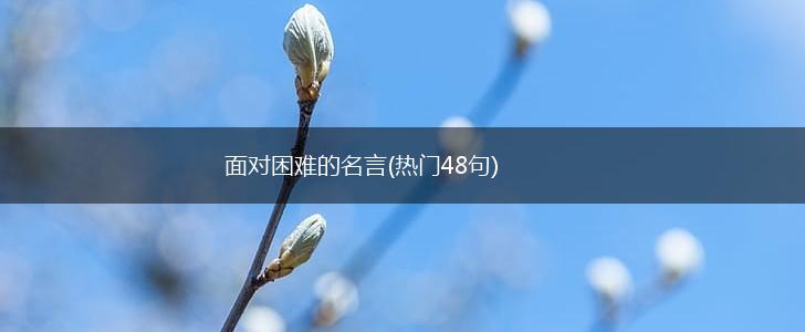面对困难的名言(热门48句),第1张