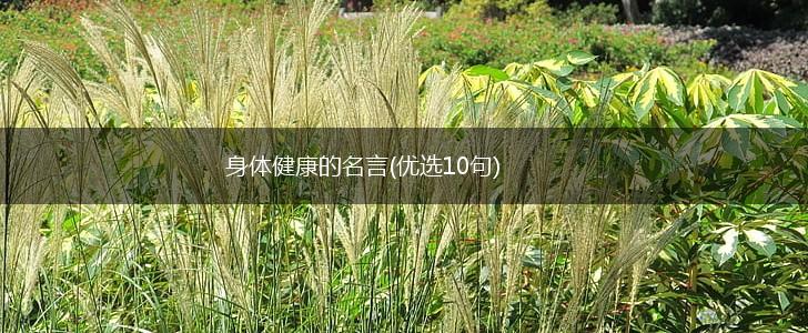 身体健康的名言(优选10句),第1张 身体健康的名言(优选10句),第1张