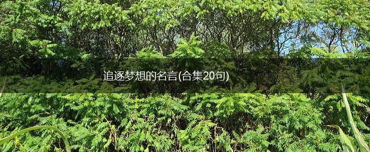 追逐梦想的名言(合集20句),第1张 追逐梦想的名言(合集20句),第1张