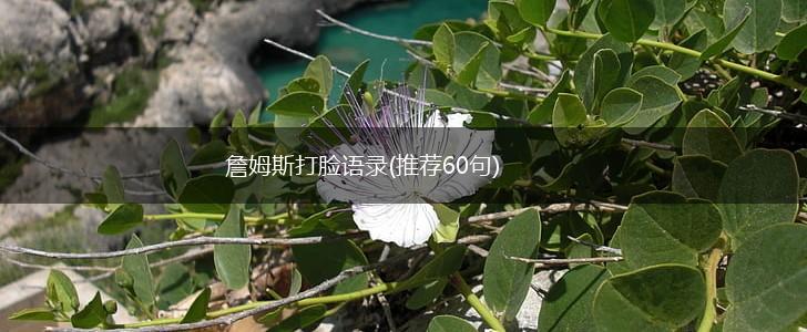 詹姆斯打脸语录(推荐60句),第1张
