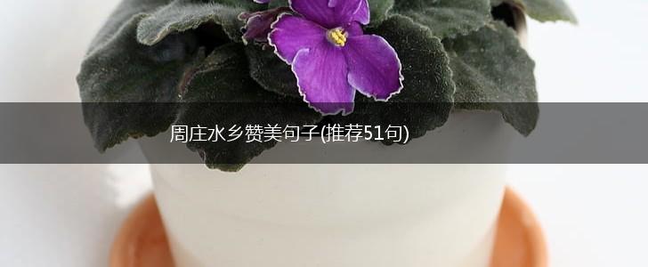 周庄水乡赞美句子(推荐51句),第1张