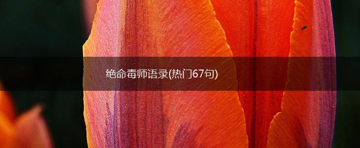 绝命毒师语录(热门67句),第1张