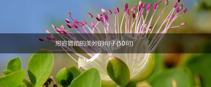 形容舞蹈的美妙的句子(50句),第1张