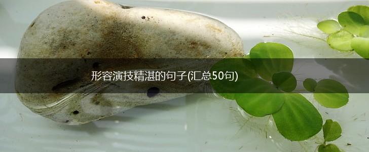 形容演技精湛的句子(汇总50句),第1张