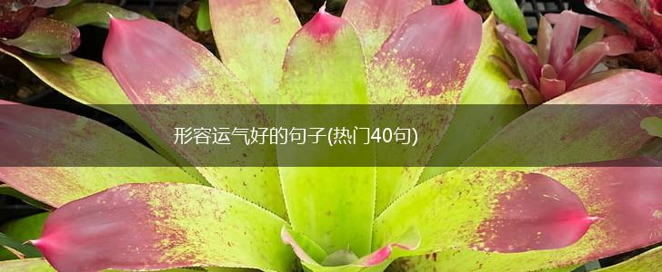 形容运气好的句子(热门40句),第1张