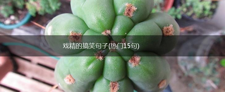 戏精的搞笑句子(热门15句),第1张