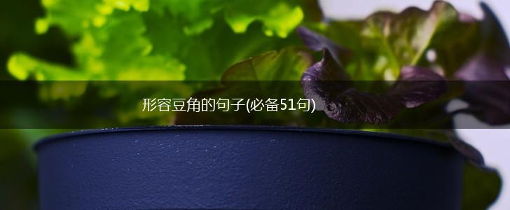 形容豆角的句子(必备51句),第1张