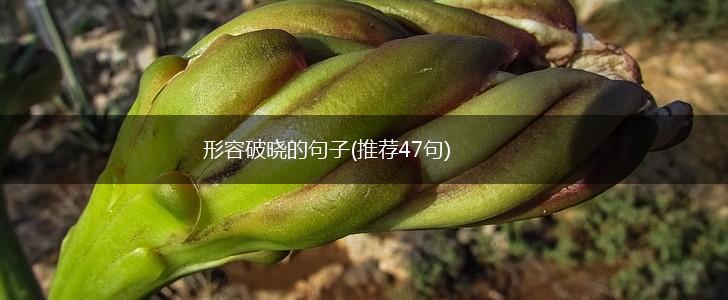 形容破晓的句子(推荐47句),第1张
