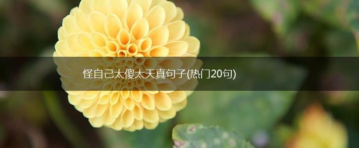 怪自己太傻太天真句子(热门20句),第1张