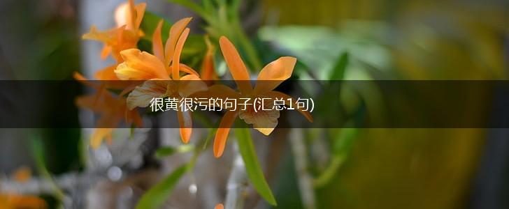 很黄很污的句子(汇总1句),第1张