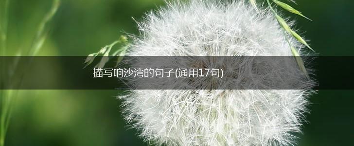 描写响沙湾的句子(通用17句),第1张
