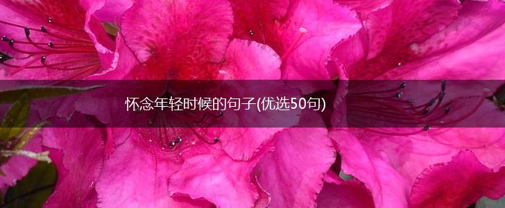 怀念年轻时候的句子(优选50句),第1张