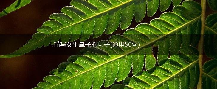 描写女生鼻子的句子(通用50句),第1张