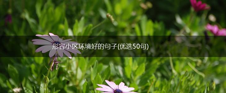 形容小区环境好的句子(优选50句),第1张